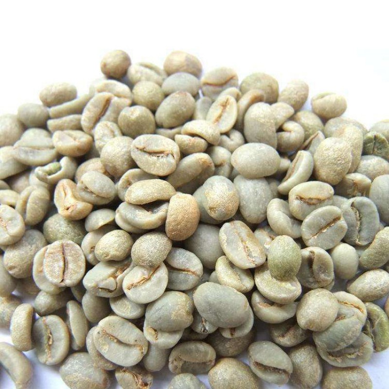 Arabica Coffee Beans from Vietnam +84989975153 from Vietnam